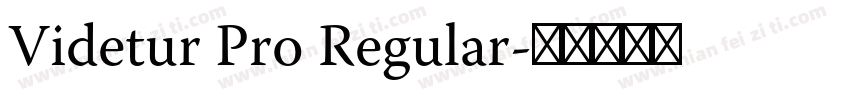 Videtur Pro Regular字体转换